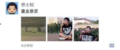娱乐搞笑吃瓜图片大全集,带你领略欢乐瞬间