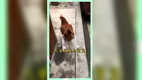 吃瓜群众的日常娱乐,揭秘娱乐圈幕后趣事