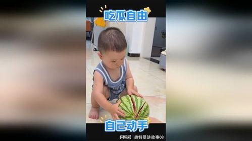 娱乐吃瓜娃,揭秘“吃瓜娃”背后的娱乐真相