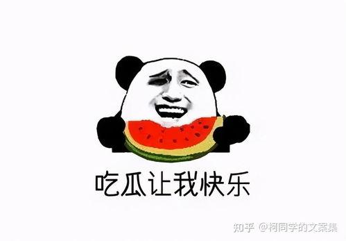 吃瓜娱乐文案搞笑,娱乐圈那些让人捧腹大笑的幕后故事