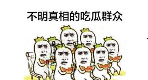 娱乐吃瓜群众素材下载,揭秘明星幕后故事