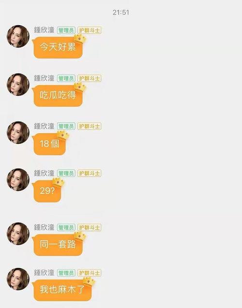 娱乐吃瓜酱谐音歌词完整版,揭秘谐音歌词背后的趣味与魅力