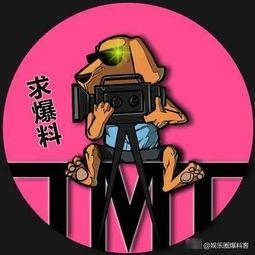 吃瓜娱乐交通规则,交通规则知识大盘点
