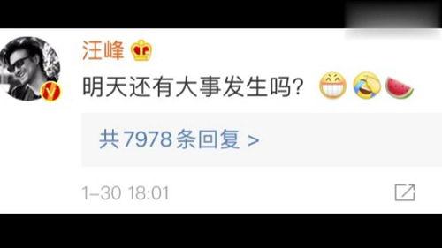 最新的娱乐吃瓜视频网站